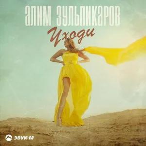 Алим Зульпикаров - Уходи