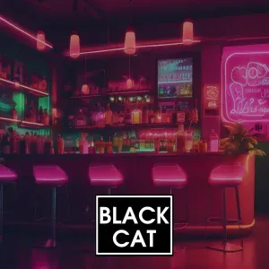 Black Cat - Лето это маленькая жизнь