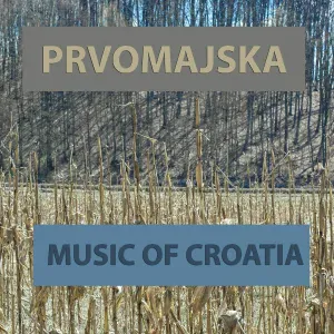 Dubioza Kolektiv - Svi u strajk