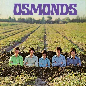 The Osmonds - He Ain't Heavy...He's My Brother