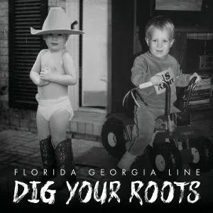 Florida Georgia Line feat. Tim McGraw - May We All