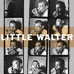 Little Walter - Everybody Needs Somebody