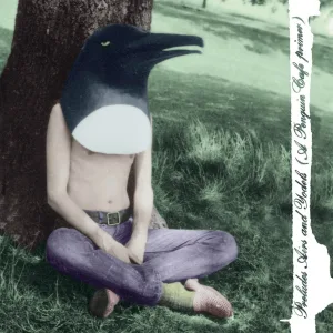 Penguin Cafe Orchestra - Music For A Found Harmonium