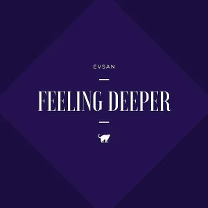 Evsan - Feel It