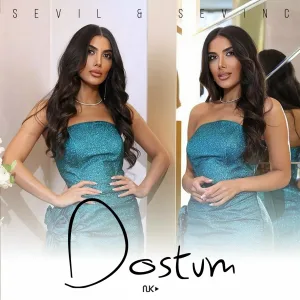 Sevil Sevinc - Dostum
