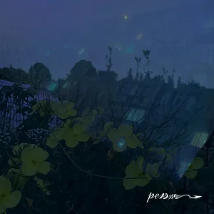 penna - ночь