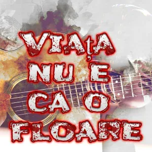 Petrecere la Romani - Chef la nunta