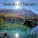 Jamie Llewellyn - Nature Sounds: Dolphins and Whales