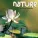 Anjey Satori - Muladhara