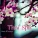 Zen Music Garden - China Girl - Nature Sounds