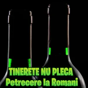 Petrecere la Romani - Am visat frumоs azi nоарте ca ieram tinar de ani