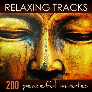 Relaxing Music Spirit - Background Ambient Music (Sleep Songs)