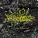BIGUNDER - REAL STYLE