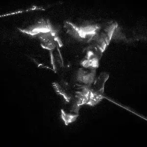 shadowrhyme - zvir