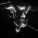 shadowrhyme - zvir