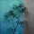 TRITICUM - Fiction
