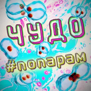 ЧУДО - #попарам