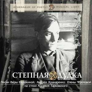Елена Фролова - Бабочка в госпитальном саду