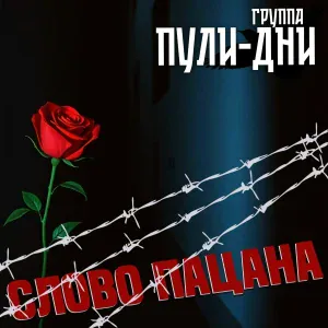 Группа Пули-Дни - Судьба (ремикс)