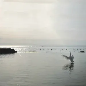Иво - Стеклянное танго