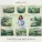 Hannah Cohen - Earthstar