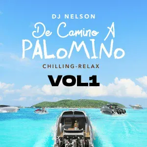 DJ Nelson, Guaynaa, Alejandro Armes feat. Master Joe - Que Te Brinquen