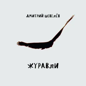 Дмитрий Шевелёв - Журавли