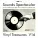 The Skymasters Dance Orchestra - Rat Race