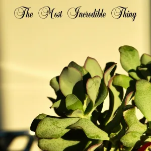The Hunting Of The Invisible Man - The Fable of the Two Explorers