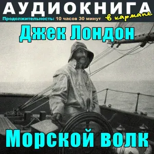 Аудиокнига в кармане, Максим Доронин - Глава 31