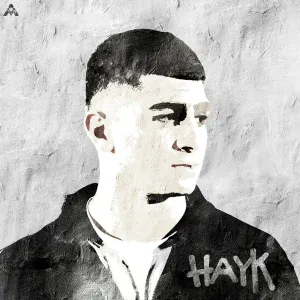 Hayk - На харизме, на таланте