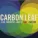 Carbon Leaf - What About Everything?