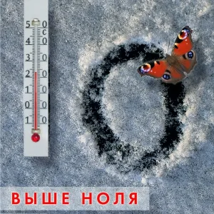 Чистяков Фёдор - Человек и кошка