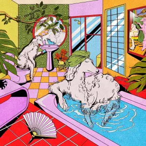 HONEYMOAN - Pickup, Don't Pickup