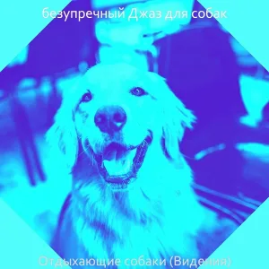 безупречный Джаз для собак - Музыка (Милые Собаки)