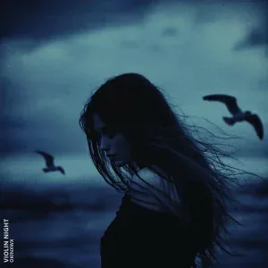 OKINXWX - Violin Night