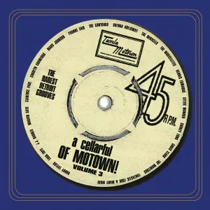 Stevie Wonder - At The Go-Go