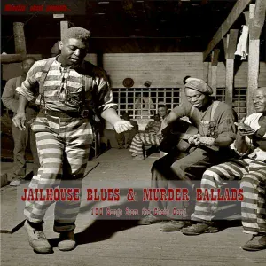Pink Anderson - He's in the Jailhouse Now 2