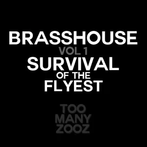Too Many Zooz - Sludge Intro