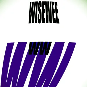 WiseWee - Слепые зоны камер