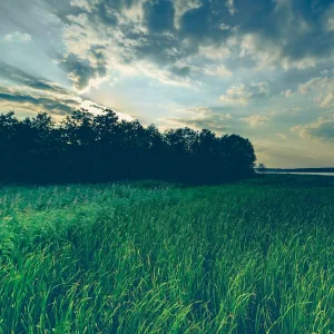 Deep Sleep, Spa, Study Music Library - Just Breathe