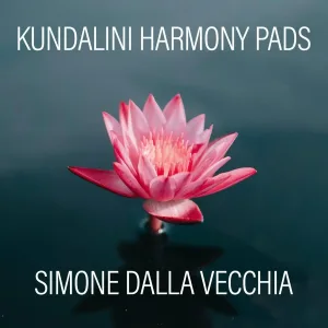 Simone Dalla Vecchia - Kicking The Elements