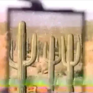 BONES, Drew The Architect - RoadHouse