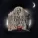 Halestorm - Back From The Dead