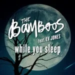 The Bamboos feat. Ev Jones - While You Sleep (feat. Ev Jones)