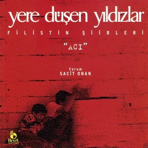 Sacit Onan - Ateşlerden Geçen Kim