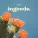 SAYMA - Ingoude