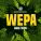 GUALTIERO - WEPA