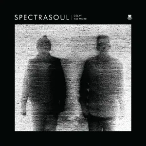 SpectraSoul feat. Terri Walker - Light in The Dark