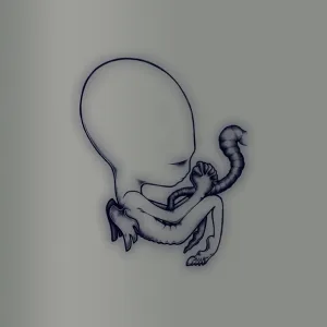 Sigur Rós - Starálfur